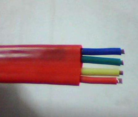 YGZB硅橡胶扁电缆/中型硅橡胶高温/防腐/耐油扁平2