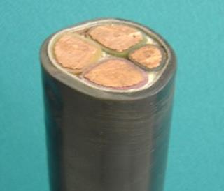 氟塑料绝缘高温电力电缆