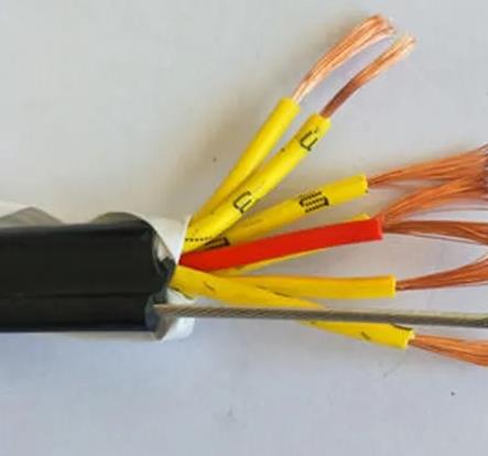 耐高温-耐油-防腐蚀控制电缆 耐高温-耐油-防腐蚀控制电缆